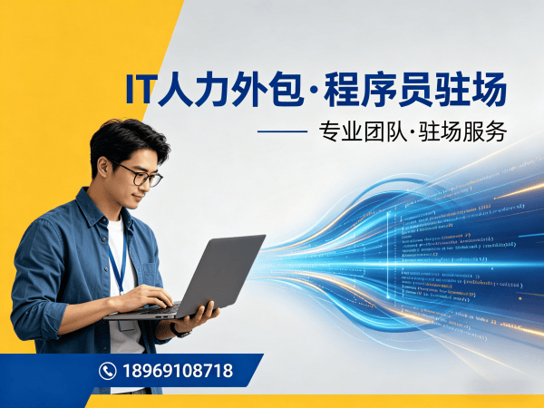 天津.NET开发工程师人力外包解决方案：高效招聘、灵活用工、技术保障