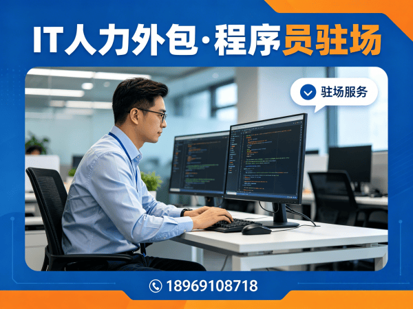 成都Go开发程序员外包解决方案|专业IT人力外包服务